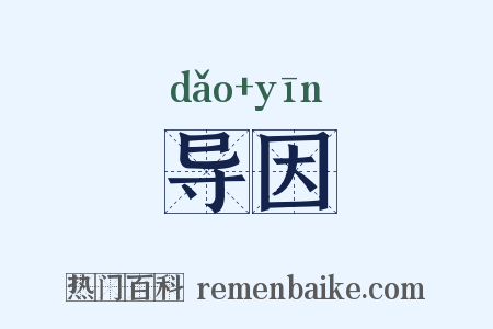 导因是什么意思的图片